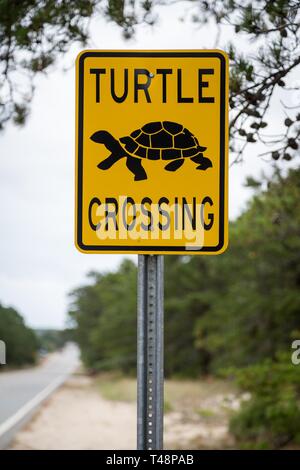 Plaque de rue, avertissement des tortues, passage de tortues, tortues crossing street, Maine, USA Banque D'Images