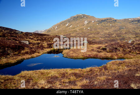 La montagne écossais Munro Meall Glas d'un Lochan sur le Corbet Beinn nan dans Imirean Glen Dochart, Highlands, Ecosse, Royaume-Uni. Banque D'Images