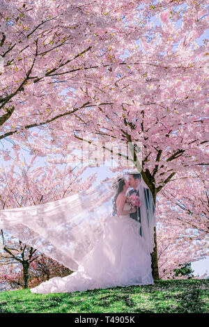 Jeune mariée marié japonais photos de mariage. Posant au milieu de cerisiers en fleur. Banque D'Images