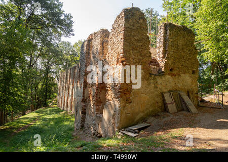 Ruines antiques en forêt Banque D'Images