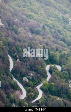 Venteux, petite route sinueuse à travers la forêt de printemps à Volče village dans le Parc National de Triglav slovène de la vallée de la Soca Banque D'Images