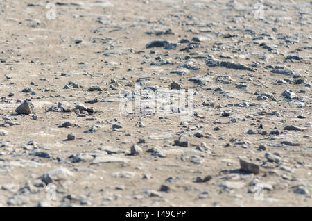 Ballast au sol de texture. Des pierres, du sable fin de fond de la route. Mise à plat, vue du dessus du gravier, copiez l'espace. Banque D'Images