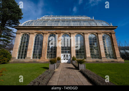 La serre Palm House au Royal Botanic Garden d'Edimbourg, Ecosse, Royaume-Uni Banque D'Images