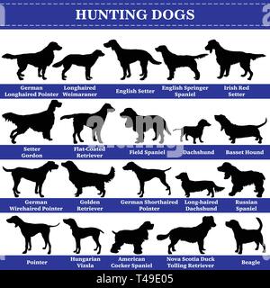 Ensemble de 20 chiens de chasse. Vector set de races de chiens de chasse de profil permanent. Les chiens isolés silhouettes race set en couleur noir sur fond blanc. Illustration de Vecteur