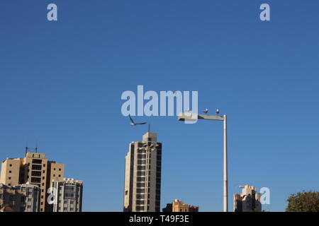 Koweït beauté nature nuit et jour Banque D'Images