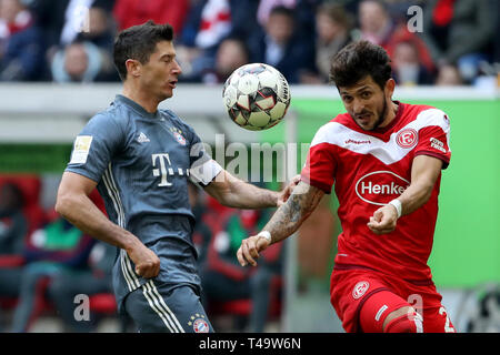 Dusseldorf, Allemagne. 14 avr, 2019. Robert Lewandowski (L) du Bayern Munich rivalise avec Matthias Zimmermann de Dusseldorf au cours de la Bundesliga match entre FC Bayern Munich et Fortuna Düsseldorf 1895 à Düsseldorf, Allemagne, le 14 avril 2019. Munich a gagné 4-1. Credit : Ulrich Hufnagel/Xinhua/Alamy Live News Banque D'Images