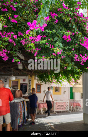 Vous trouverez des boutiques, des cafés et des fleurs, la Ville d'Ibiza, Ibiza, Espagne Banque D'Images