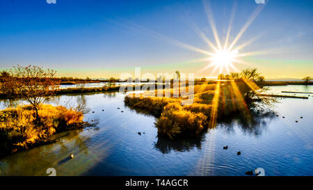 Hiver Coucher de soleil sur une lagune dans le refuge d'oiseaux Reifel dans la réserve nationale de faune sur Westham Island près de Ladner, British Columbia, Canada Banque D'Images