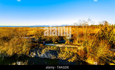 Hiver Coucher de soleil sur une lagune dans le refuge d'oiseaux Reifel dans la réserve nationale de faune sur Westham Island près de Ladner, British Columbia, Canada Banque D'Images