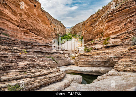 Les couches de schiste et calcaire de Boquillas Formation à Tinaja Ernst Ernst en Canyon, le parc national Big Bend, Texas, États-Unis Banque D'Images