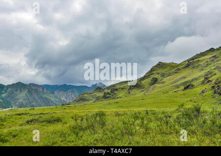 Nuageux sombre pittoresque paysage estival de la vallée de montagne avec de l'herbe bien verte et arbustes couverts et avec des rochers éparpillés dans les montagnes de l'Altaï, Banque D'Images