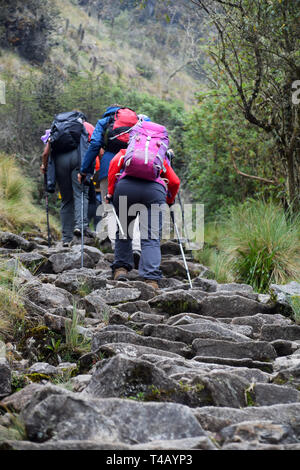 Les touristes avec des sacs à dos et bâtons de marche en remontant la pente raide pas dans les montagnes. Étapes partie de l'historique de l'Inca menant à Machu Picchu Banque D'Images