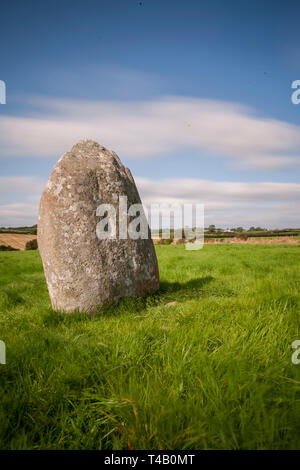 Ballynoe stone circle, comté de Down en Irlande du Nord Banque D'Images