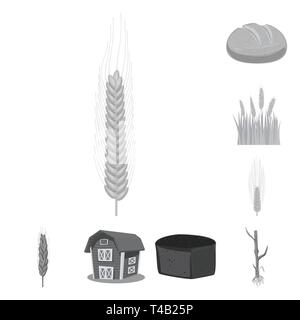 L'orge de printemps,pain,grenier,etuve,hiver,spike,root,bâtiment,maïs,sain,campagne,Culture,céréales,remise,pain,de,vélo,l'automne venu, la nourriture, le petit déjeuner,meadow,croissance,snack,or,farine de seigle,chalet,usine,blé,maïs,grain,récolte,ferme,terrain,agriculture,agriculture,,set,icône,,illustration,collection,isolé,design,graphisme,élément signe,gris,noir,vecteurs vecteur , Illustration de Vecteur