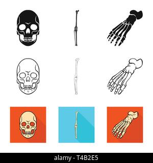 Crâne,Genou,Pied,la mort,joints,cheville,monster,sain,ménisque,le mal,body,horreur,podologie avant-pied,tatouage,jambe,DE,panneaux,chirurgie,tête,les pieds plats,dommage,oeil,circulation,l'enfer,les dents,cartilage,motion,médecine,clinique,biologie,médical,os,,squelette anatomie,des,organes,,set,icône,,illustration,collection,isolé,design,graphisme,élément vecteur vecteurs,signer , Illustration de Vecteur