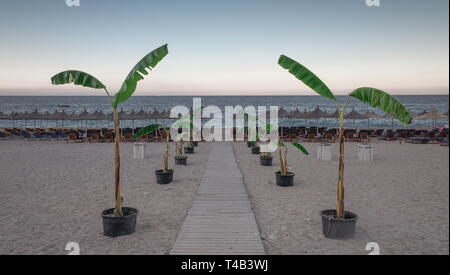 Beau matin d'été sur une plage de sable à Switzerland, Albanie Banque D'Images