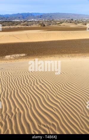 Gran Canaria - dunes de sable de Maspalomas. Banque D'Images