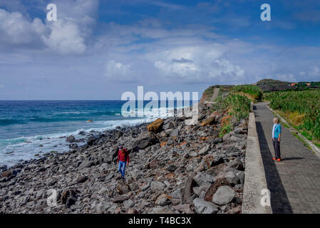 Faja Quebrada Nova, Achadas da Cruz, Madeira, Portugal Banque D'Images