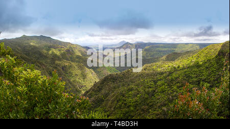 Vue sur le parc national des Gorges de Rivière Noire, Route de Plaine Champagne, Maurice Banque D'Images