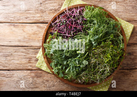 Frais fait maison microgreen de pois, coriandre, moutarde, radis close-up sur une plaque sur une table en bois. haut horizontale Vue de dessus Banque D'Images