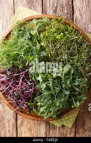 Diététique vitamine microgreen de pois, coriandre, moutarde, radis rosso close-up sur une plaque sur une table en bois.Vertical haut Vue de dessus Banque D'Images