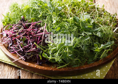 Frais fait maison microgreen de pois, coriandre, moutarde, radis close-up sur une plaque sur une table de bois horizontal. Banque D'Images