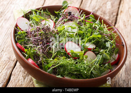 Les aliments biologiques salade de radis avec micro mix vert close-up dans un bol sur la table horizontale. Banque D'Images