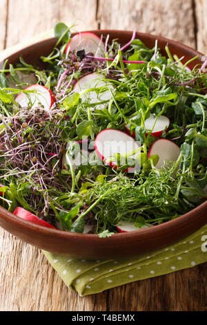 Salade de radis de printemps avec mélange microgreen close-up dans un bol sur la table verticale. Banque D'Images