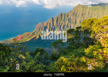 Vue de Kalalau Lookout à belle côte de Na Pali à Koke'e State Park sur l'île hawaïenne de Kauai, États-Unis Banque D'Images