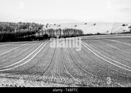 Une photographie en noir et blanc du champ fraîchement labourés recouverts d'une fine couche de gelée blanche formant des lignes verticales, le terrain est sur une colline et behin Banque D'Images