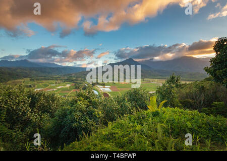 Hanalei Valley Lookout Point de vue sur l'île hawaïenne de Kauai, États-Unis Banque D'Images