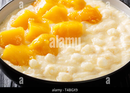 Pouding au tapioca végétarien avec du lait de coco et mangue fraîche close-up dans un bol sur la table horizontale. Banque D'Images