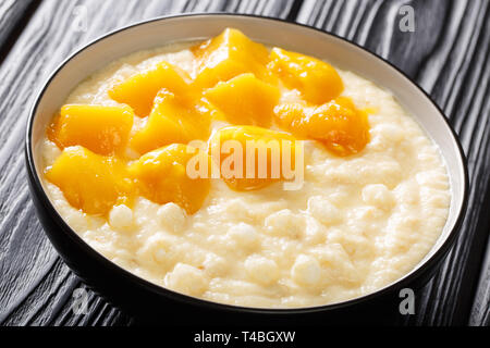 Pouding au tapioca asiatique traditionnel avec du lait de coco et mangue fraîche close-up dans un bol sur la table horizontale. Banque D'Images