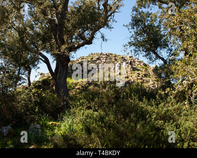 Cercle mégalithique et grande hutte circulaire dans le site archéologique de Noddule - SARDAIGNE , ITALIE Banque D'Images