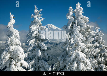 WA17113-00...WASHINGTON - Vue de la Cabane haute partie de la Mt. Tahoma Trail Association hut système dans la forêt d'État Tahoma. Au loin le Mont Rai Banque D'Images