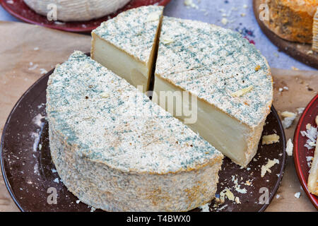 Les ovins et caprins fromages biologiques libre piscine Banque D'Images