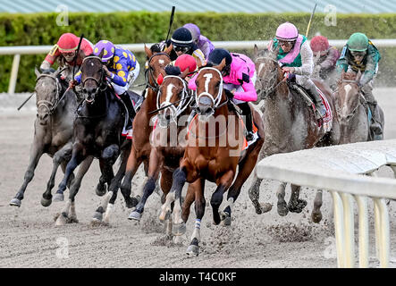 Hallandale Beach, Floride, USA. 30Th Mar, 2019. HALLANDALE, Floride - 30 mars : Maximum Security # 7 (Black Cap), monté par Luis Saez, remporte le Derby de la Floride La Floride sur Derby Day à Gulfstream Park Race Track à Hallandale Beach, Floride. Scott Serio/Eclipse Sportswire/CSM/Alamy Live News Banque D'Images