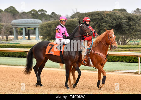 Hot Springs, Arkansas, USA. Feb 18, 2019. 18 février 2019 : le sud-ouest de course à Oaklawn Park le 18 février 2019 à Hot Springs, Arkansas. # 7 Sueno avec Corey jockey J. Lanerie(Photo par Ted McClenning/Eclipse/Cal Sportswire Sport Media) Credit : csm/Alamy Live News Banque D'Images