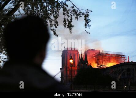 Paris, France. Apr 15, 2019. Un homme regarde le feu sur la cathédrale Notre-Dame dans le centre de Paris, capitale de la France, le 15 avril 2019. Un incendie a éclaté le lundi après-midi, à la Cathédrale Notre Dame dans le centre de Paris où les pompiers étaient encore à mettre la lutte contre l'incendie, le Maire de Paris Anne Hidalgo a dit. Credit : Gao Jing/Xinhua/Alamy Live News Banque D'Images