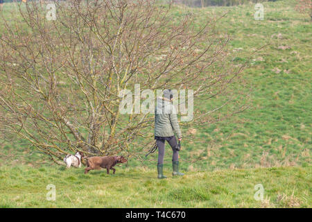 Northampton. Royaume-uni 26 avril 2019. Météo. Un doux matin que de la fin avec un peu de soleil qui traverse les nuages bas, ce qui en fait se sentir moins froid pour les gens promènent leurs chiens dans Bradlaugh Feilds ce matin. Credit : Keith J Smith./Alamy Live News Banque D'Images