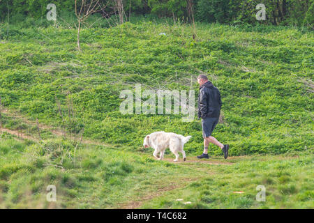 Northampton. Royaume-uni 26 avril 2019. Météo. Un doux matin que de la fin avec un peu de soleil qui traverse les nuages bas, ce qui en fait se sentir moins froid pour les gens promènent leurs chiens dans Bradlaugh Feilds ce matin. Credit : Keith J Smith./Alamy Live News Banque D'Images