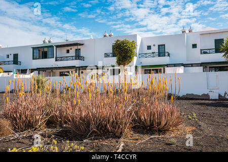 Maisons de vacances moderne, Costa Teguise, Lanzarote Banque D'Images