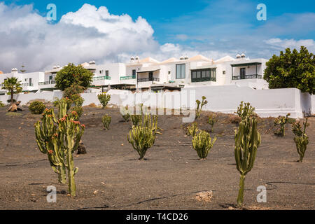 Maisons de vacances moderne, Costa Teguise, Lanzarote Banque D'Images