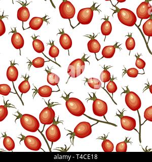 Cynorrhodons seamless pattern sur fond blanc. Chien-rose fruits rouges mûrs. Vector illustration Illustration de Vecteur