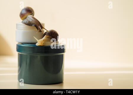 Deux escargots Achatina et cosmétiques sur le fond clair. Extreme close-up macro photographie. Mollusques sur les bocaux. Slime anti-vieillissement. Fokus sélective Banque D'Images