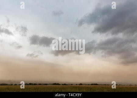 Thunder ciel au-dessus de paysage d'été sur l'île Khortytsia, Ukraine Banque D'Images