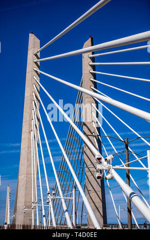 Populaires et bordée d'une piste cyclable et piétonne marquée à côté du tramway et bus route à travers la corde Tilikum Crossing Bridge à travers le Willame Banque D'Images