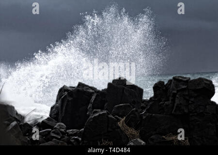 Mur d'eau comme les vagues turbulentes - tsunami de l'océan Pacifique de plus de 8 mètres (lourd) et beauté sauvage de rochers basaltiques Banque D'Images