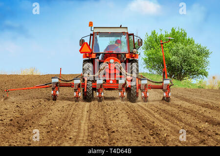 Méconnaissable agriculteur est de conduire le tracteur avec semoir récolte montée et la plantation de semences de maïs dans le champ Banque D'Images