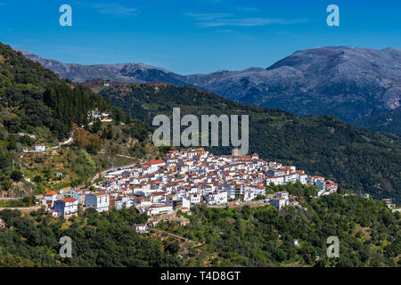 Village andalou blanc, Pueblo Blanco Algatocin. Province de Malaga, Espagne Banque D'Images